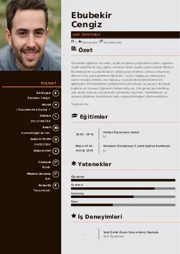 cv indir